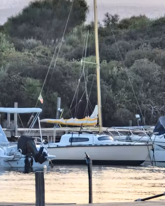 Barca a vela edel 2