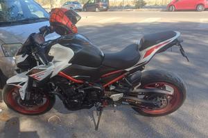 Kawasaki Z900 Full Power 2021