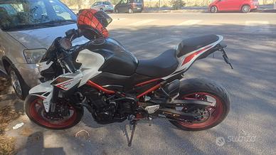 Kawasaki Z900 Full Power 2021