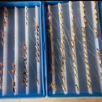 Esche artificiali per pescare OLD CAPTAIN E PALU '