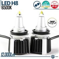 Kit LED H8 al QUARZO CANbus 360° Potente 6500K 55W