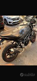 Suzuki Sv650 2023