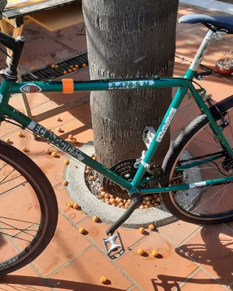 MTB Ecos Atlantis 26" 