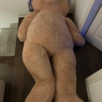 Orsacchiotto gigant 2metri