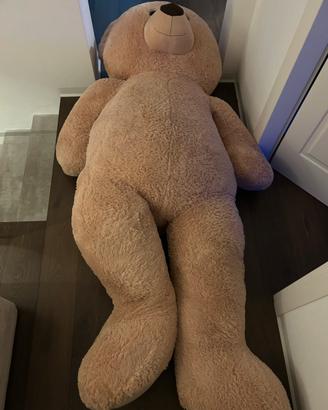 Orsacchiotto gigant 2metri