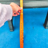 Head radical Mp(2025)