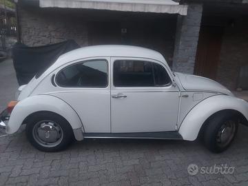 11 D 11 Magiolino mod 1979 Beetle
