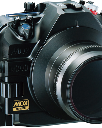 Set professionale per fotografia subacquea
