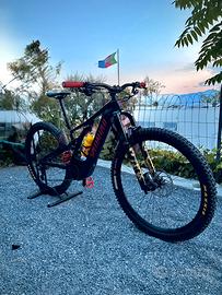 E-mtb specialized turbo levo