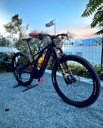 E-mtb specialized turbo levo