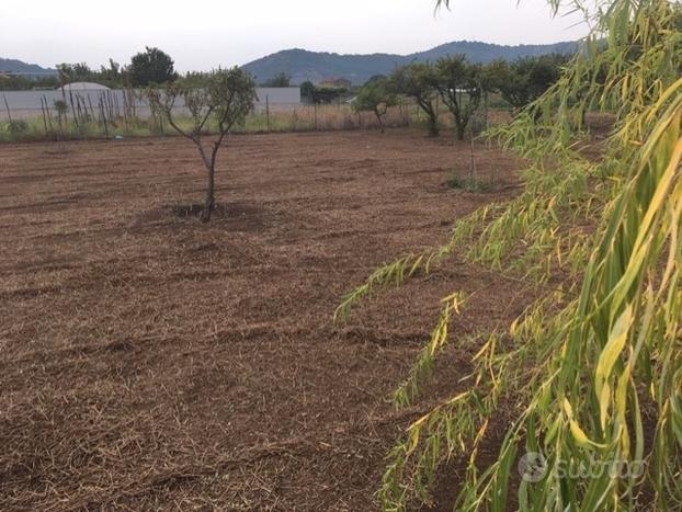 Terreno agricolo