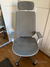 Sedia ufficio ergonomica - Flexispot BS 11 Pro
