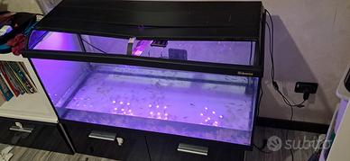 acquario 200 litri  100×40
