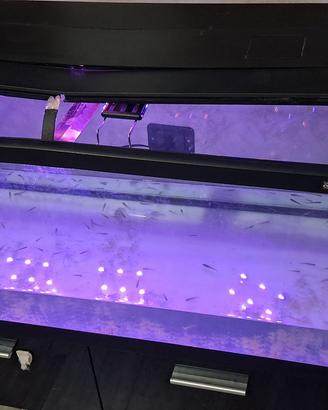 acquario 200 litri  100×40