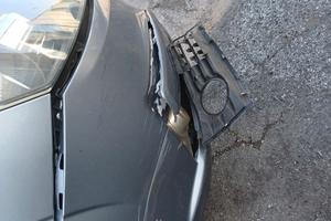 Procedura L.G. 81/2025 Trib. di Genova – Sez. P.C.