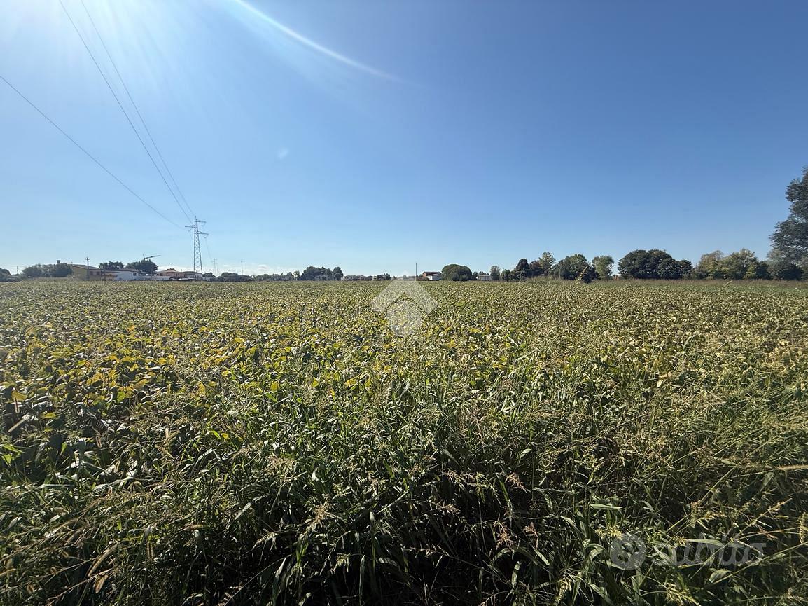TER. AGRICOLO A BORGORICCO - Vista 2