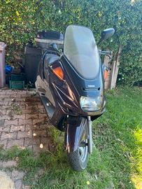 Yamaha majesty dx 250