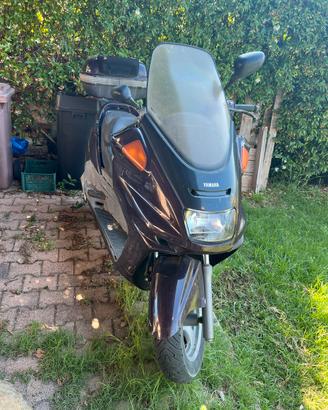 Yamaha majesty dx 250