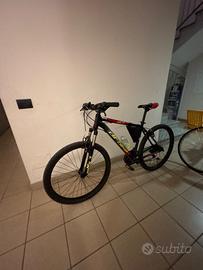 Bicicletta ragazzo
