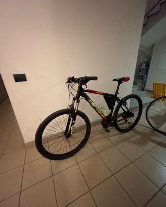 Bicicletta ragazzo