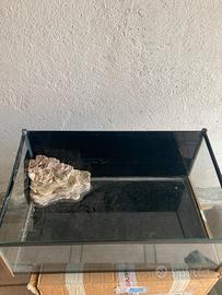 Tartarughiera in vetro