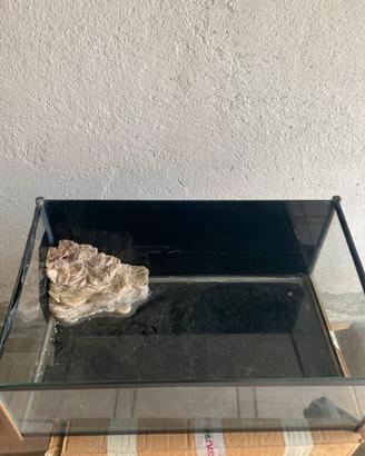 Tartarughiera in vetro