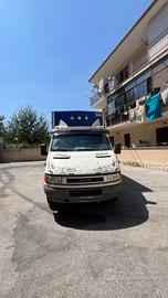Iveco daily