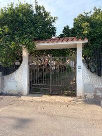 Immobile di 2 piani + giardino