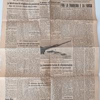 Pagina di Giornale