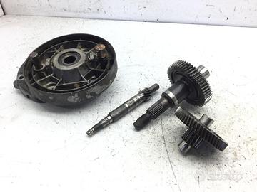 APRILIA SCARABEO 4T 100 CARTER E INGRANAGGI RUOTA 
