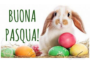 Graziosa casa con giardino e terrazza con barbecue