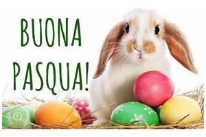 Graziosa casa con giardino e terrazza con barbecue