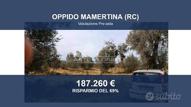 Immobile in asta di 168410 m² a Oppido Mamertina