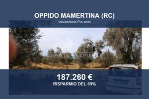 Immobile in asta di 168410 m² a Oppido Mamertina