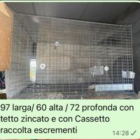 gabbie riproduzione pappagalli