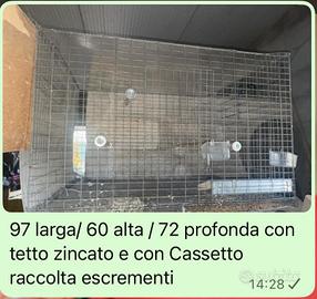 gabbie riproduzione pappagalli