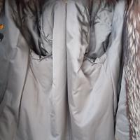  pelliccia volpe argentata