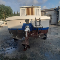 Nauti