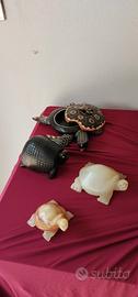 Tartarughe da collezione 