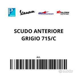 65633800HT- SCUDO ANTERIORE Grigio 715/C
