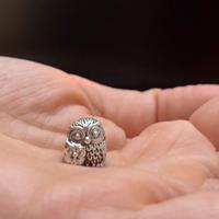 charm pandora originali