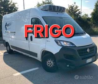 FIAT DUCATO 35 2.3mjt 140cv L3H2 FRIGO - ANNO 2020