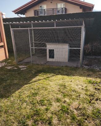 serraglio cani con cuccia