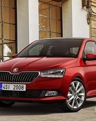 Ricambi usati skoda fabia
