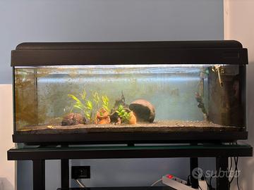 Acquario 100l con mobile
