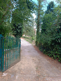 Terreno agricolo e chalet 90mq