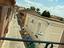 Immagine 7
