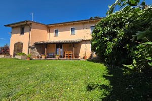 Affittacame-bed and breakfast: Tra gli ulivi e il