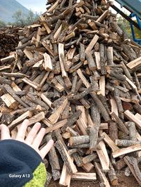 QUERCIA E CERRO SECCO 