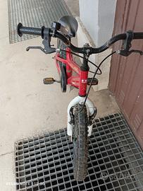 Bicicletta bambino 3-6 anni  Kawasaki 